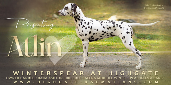 Ch Winterspear At Highgate 