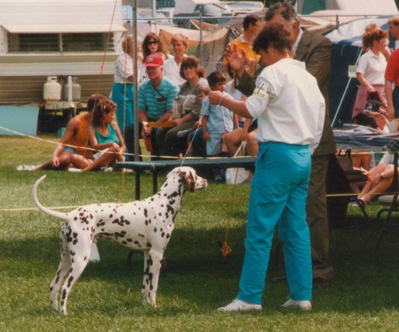 Can Ch Fincham Fred Flintstone  and Margaret DCC1989