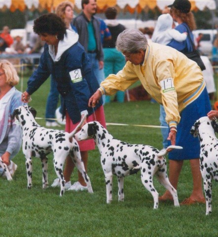 Ch Wildeer Bosun Cotillion