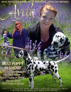 Ayela CDF Ad Designed by Wendy Reyn Winconline